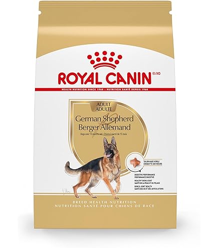 2個セット CANIN Golden Retriever 12kg Amazon.com: Royal Canin Golden Retriever Adult Dry Dog Food